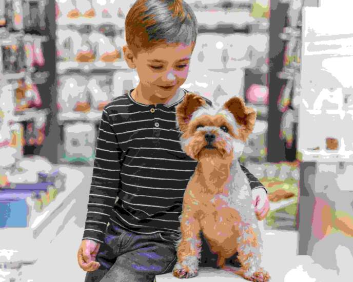 Pet Shop Freepik